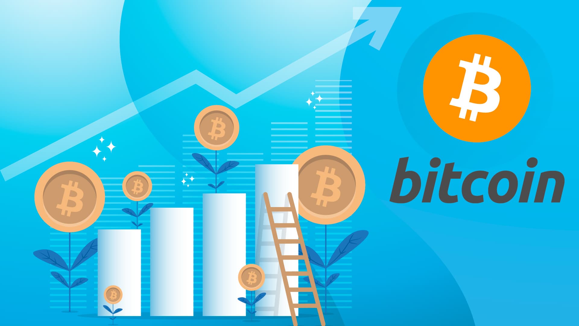 Bitcoin (BTC) News